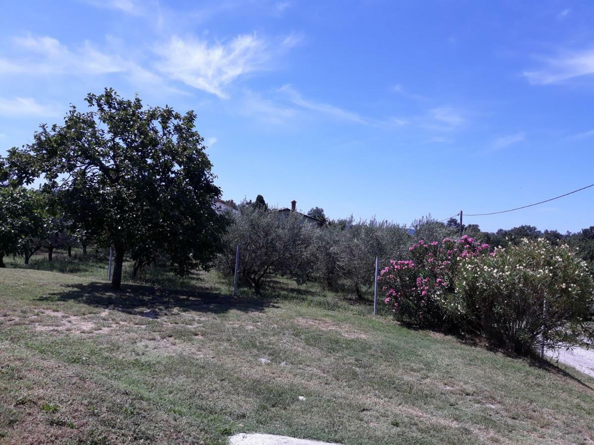 Villa House Barizoni à Ankaran Extérieur photo