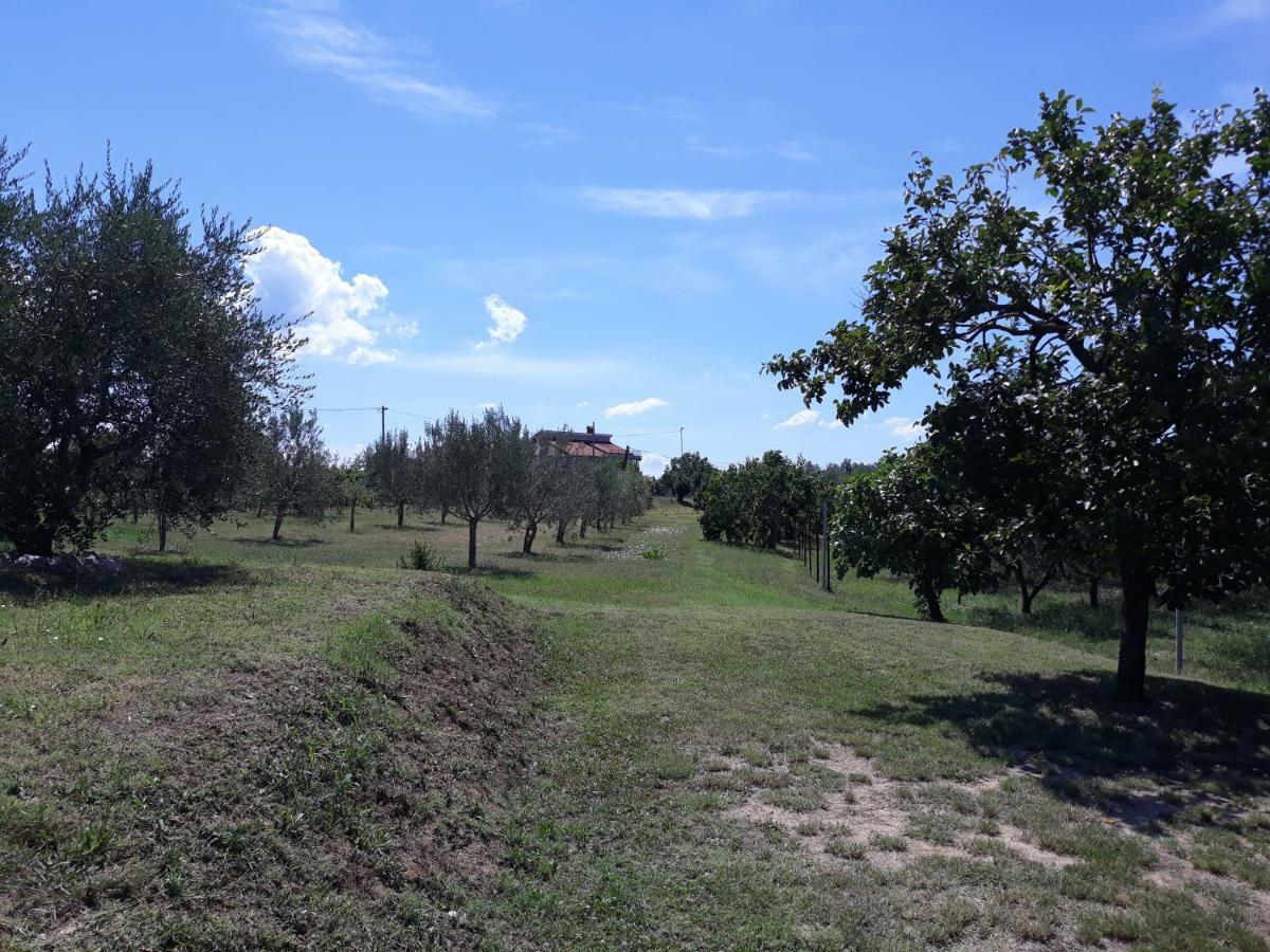 Villa House Barizoni à Ankaran Extérieur photo