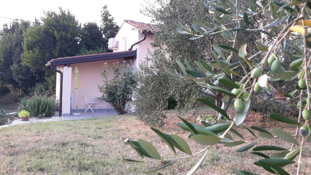 Villa House Barizoni à Ankaran Extérieur photo